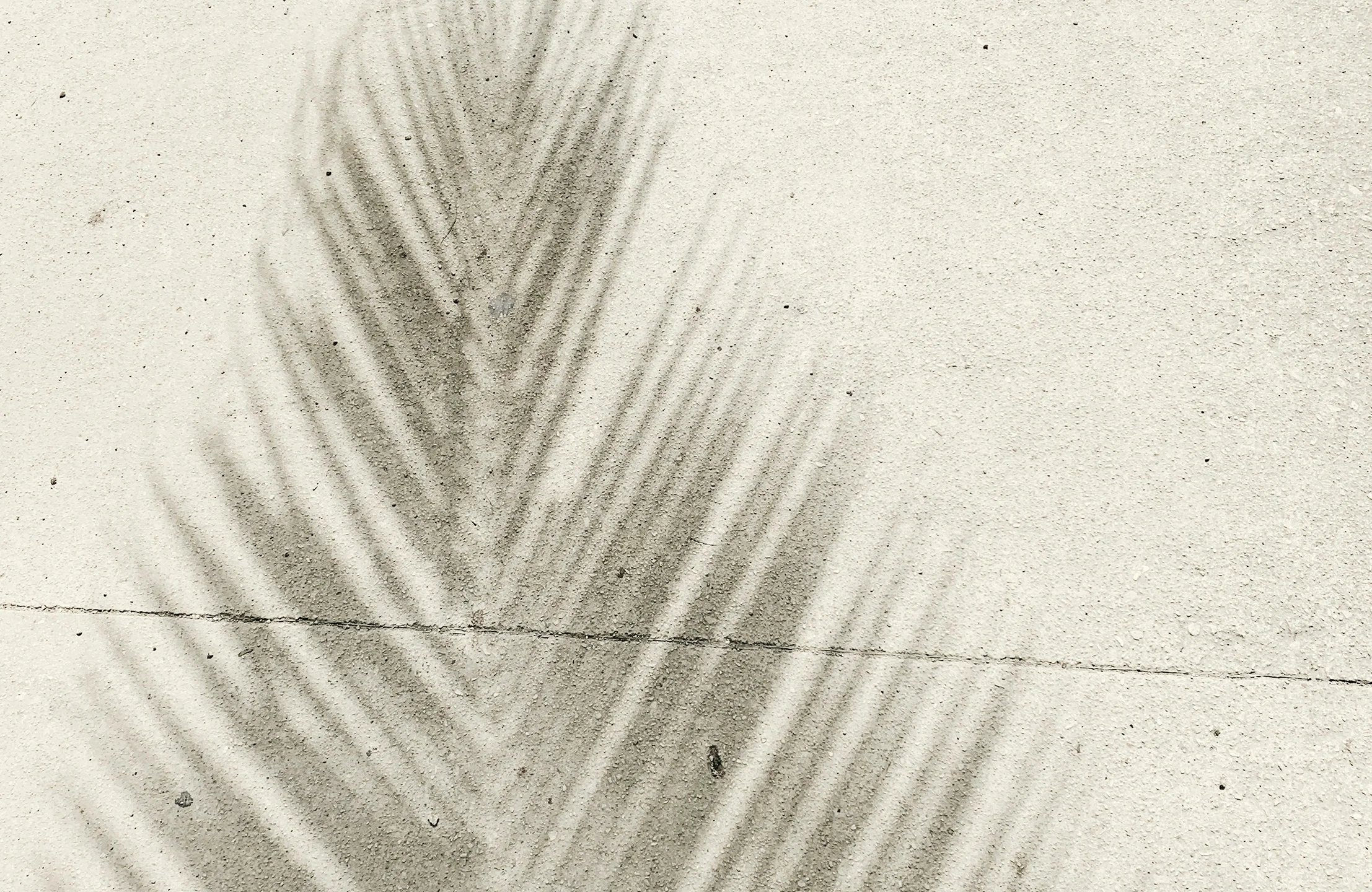 背景のあしらい