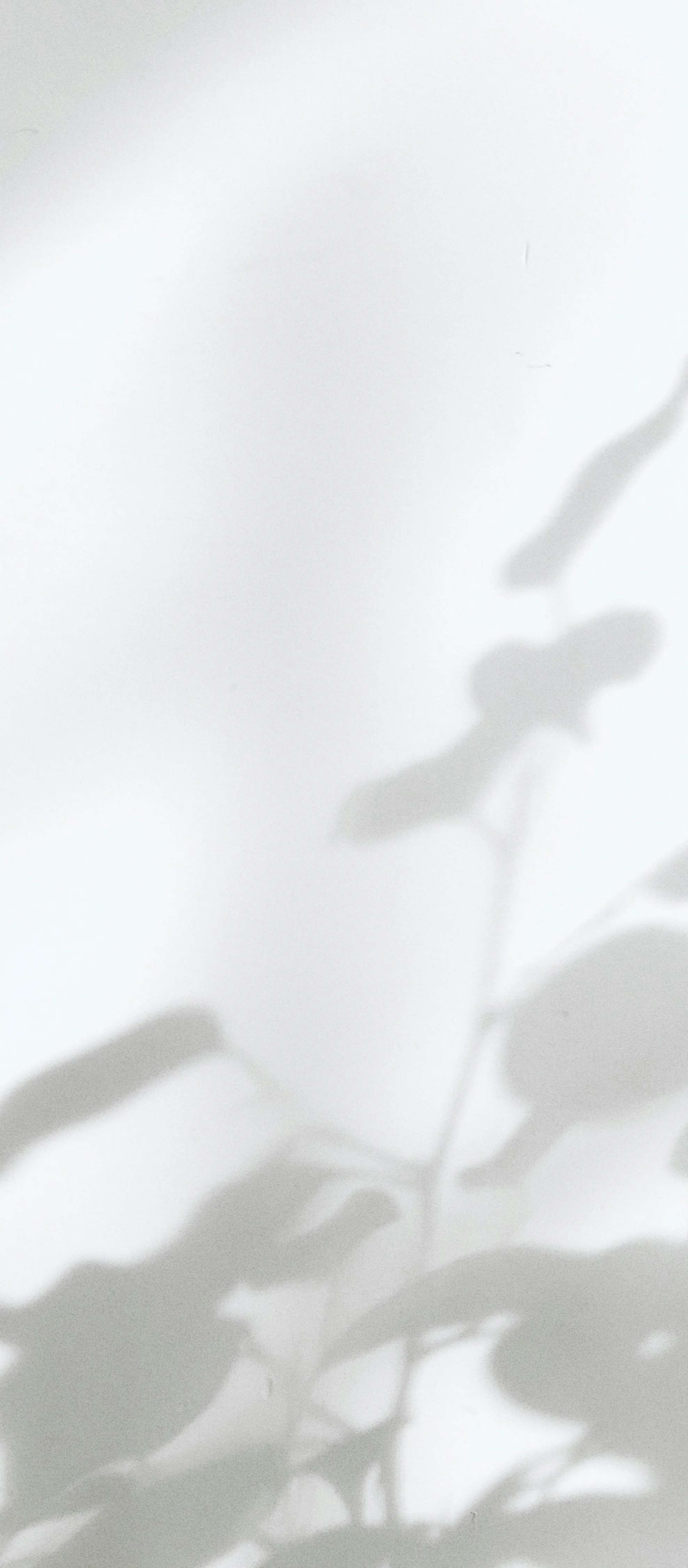 背景のあしらい